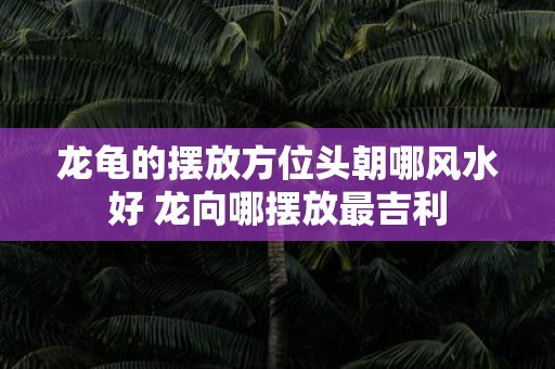 龙龟的摆放方位头朝哪风水好 龙向哪摆放最吉利
