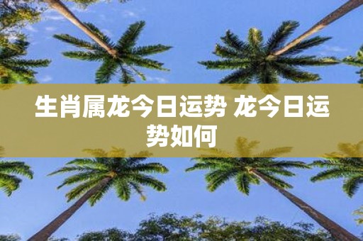生肖属龙今日运势 龙今日运势如何