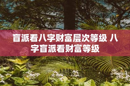 盲派看八字财富层次等级 八字盲派看财富等级