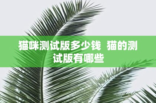 猫咪测试版多少钱 猫的测试版有哪些