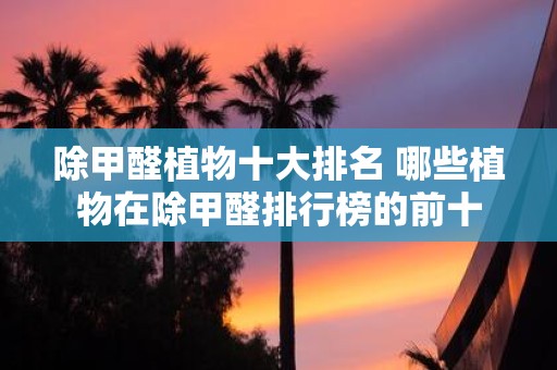 除甲醛植物十大排名 哪些植物在除甲醛排行榜的前十