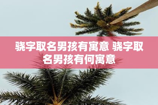 骁字取名男孩有寓意 骁字取名男孩有何寓意