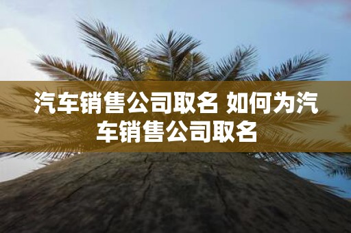 汽车销售公司取名 如何为汽车销售公司取名