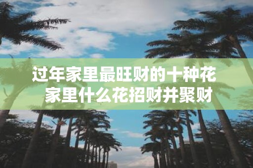 过年家里最旺财的十种花 家里什么花招财并聚财