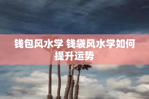 钱包风水学 钱袋风水学如何提升运势