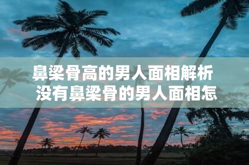 鼻梁骨高的男人面相解析 没有鼻梁骨的男人面相怎么样