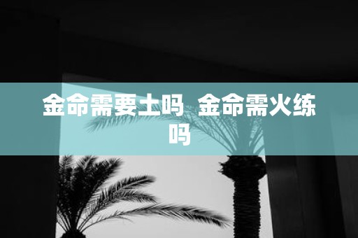 金命需要土吗 金命需火练吗