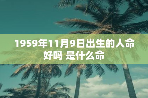 1959年11月9日出生的人命好吗 是什么命