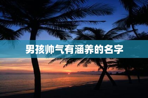男孩帅气有涵养的名字