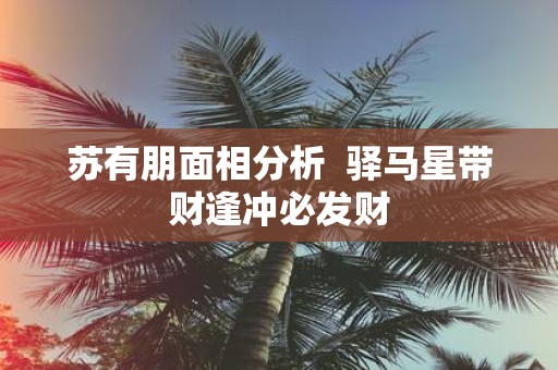 苏有朋面相分析 驿马星带财逢冲必发财