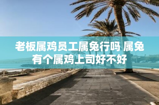 老板属鸡员工属兔行吗 属兔有个属鸡上司好不好