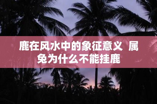 鹿在风水中的象征意义 属兔为什么不能挂鹿