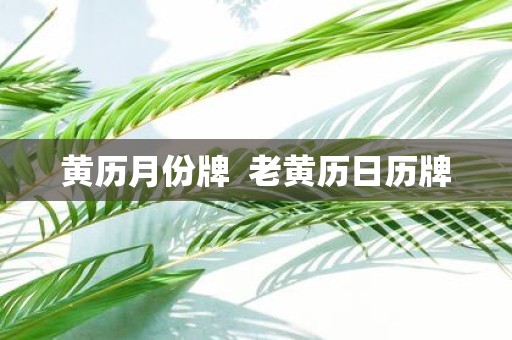 黄历月份牌 老黄历日历牌