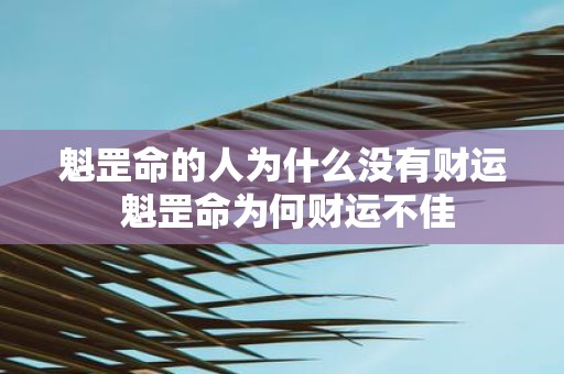 魁罡命的人为什么没有财运 魁罡命为何财运不佳