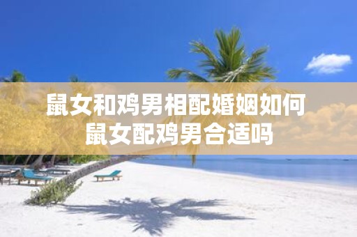 鼠女和鸡男相配婚姻如何 鼠女配鸡男合适吗