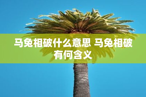 马兔相破什么意思 马兔相破有何含义