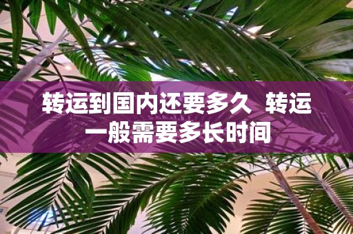 转运到国内还要多久 转运一般需要多长时间