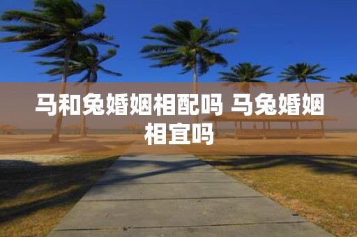 马和兔婚姻相配吗 马兔婚姻相宜吗