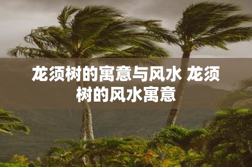 龙须树的寓意与风水 龙须树的风水寓意