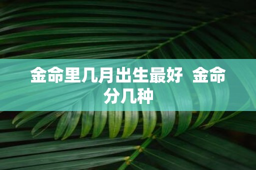 金命里几月出生最好 金命分几种