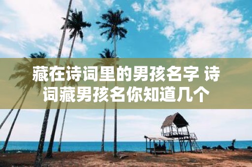 藏在诗词里的男孩名字 诗词藏男孩名你知道几个