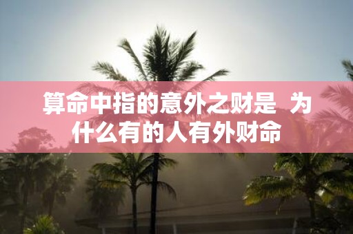 算命中指的意外之财是 为什么有的人有外财命