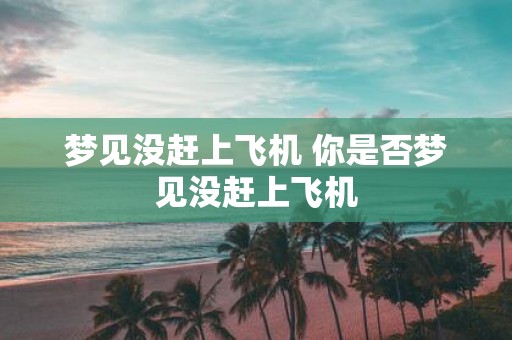 梦见没赶上飞机 你是否梦见没赶上飞机