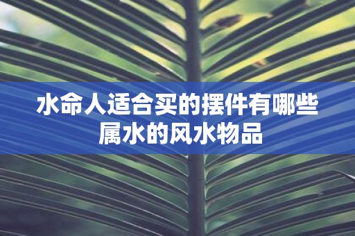 水命人适合买的摆件有哪些 属水的风水物品