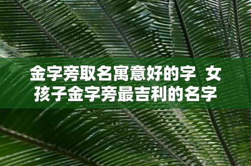 金字旁取名寓意好的字 女孩子金字旁最吉利的名字