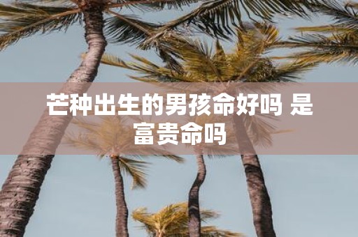 芒种出生的男孩命好吗 是富贵命吗