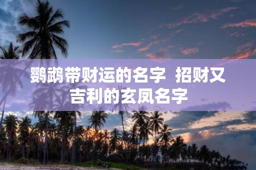 鹦鹉带财运的名字 招财又吉利的玄凤名字