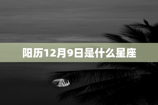 阳历12月9日是什么星座
