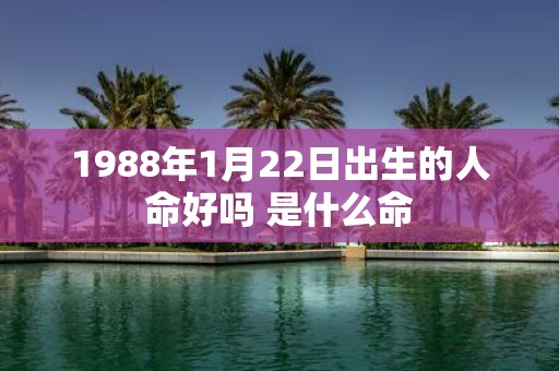1988年1月22日出生的人命好吗 是什么命