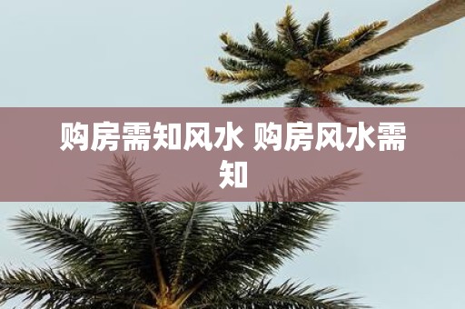购房需知风水 购房风水需知