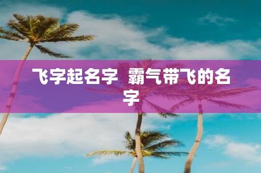 飞字起名字 霸气带飞的名字