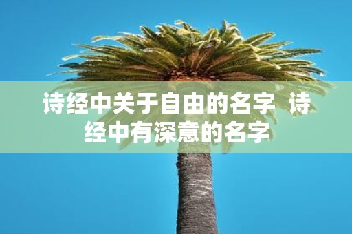 诗经中关于自由的名字 诗经中有深意的名字
