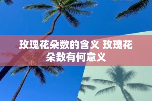 玫瑰花朵数的含义 玫瑰花朵数有何意义