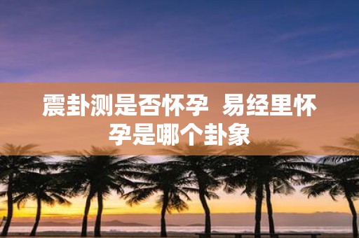 震卦测是否怀孕 易经里怀孕是哪个卦象