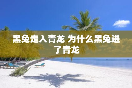 黑兔走入青龙 为什么黑兔进了青龙