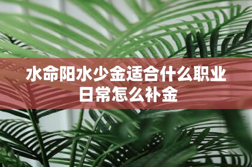 水命阳水少金适合什么职业 日常怎么补金