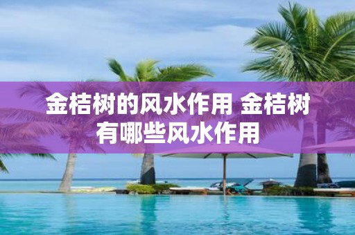 金桔树的风水作用 金桔树有哪些风水作用