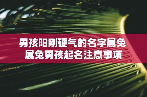 男孩阳刚硬气的名字属兔 属兔男孩起名注意事项