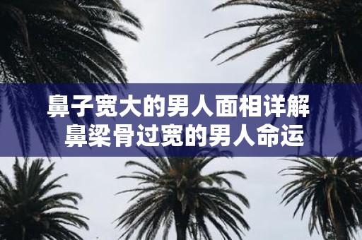 鼻子宽大的男人面相详解 鼻梁骨过宽的男人命运