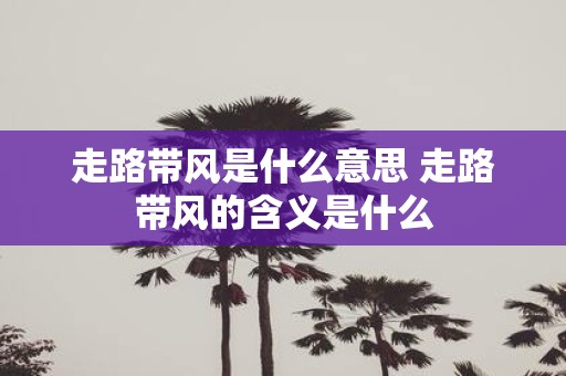 走路带风是什么意思 走路带风的含义是什么