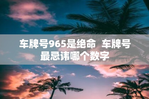 车牌号965是绝命 车牌号最忌讳哪个数字