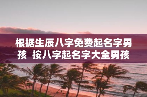 根据生辰八字免费起名字男孩 按八字起名字大全男孩