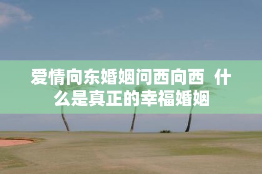 爱情向东婚姻问西向西 什么是真正的幸福婚姻