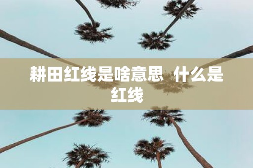 耕田红线是啥意思 什么是红线
