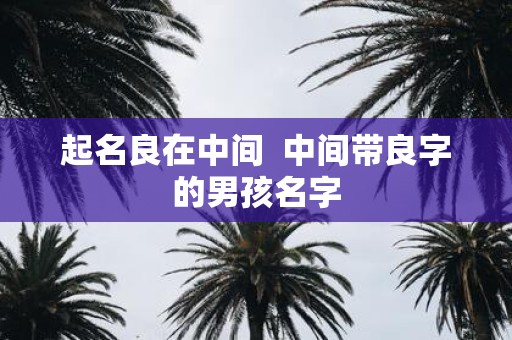 起名良在中间 中间带良字的男孩名字