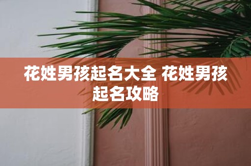 花姓男孩起名大全 花姓男孩起名攻略